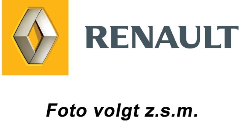 RENAULT Zoe R135 135pk Intens inclusief Batterij / Navi / Camera